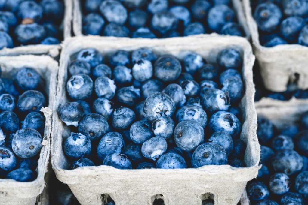 berry-blue-blueberries-70862