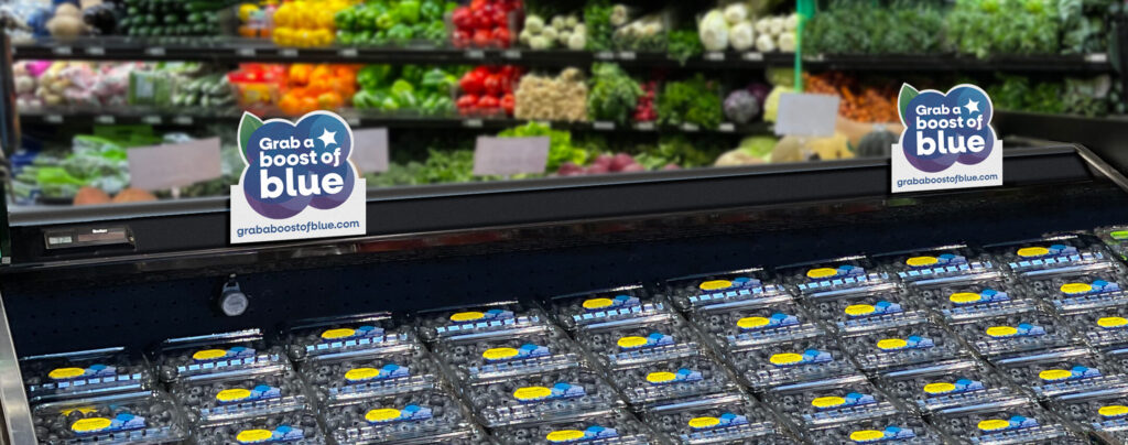 Opportunities for Blueberries in Consumer Packaged Goods