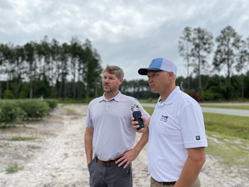 From the Field: Georgia Blueberry Update With Michael Thomas