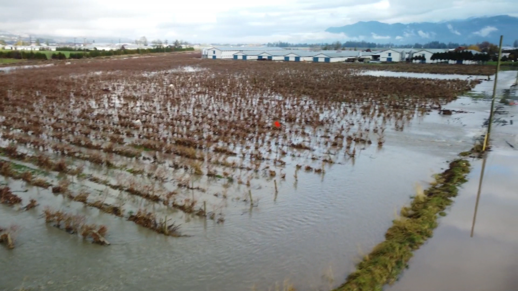 Flooding in the Pacific Northwest