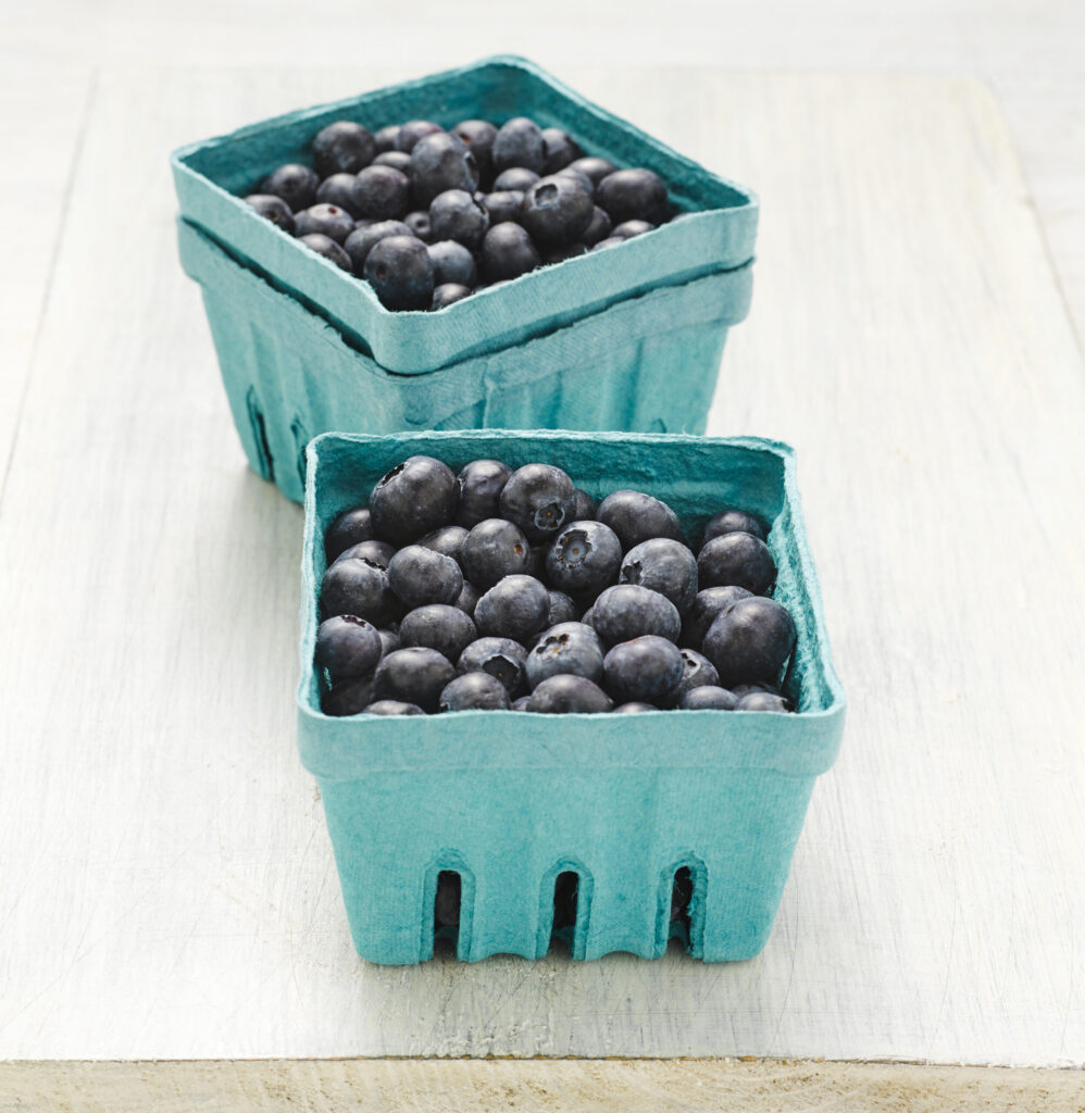 Blueberry Business Intelligence