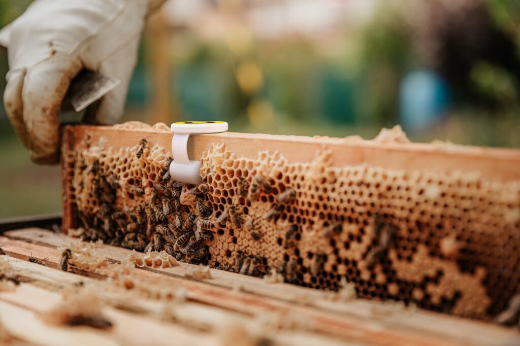 Bee Aware of New Pollination Technology