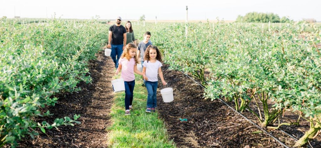 Connecting Communities to a U-Pick Farm With Brooke Hill