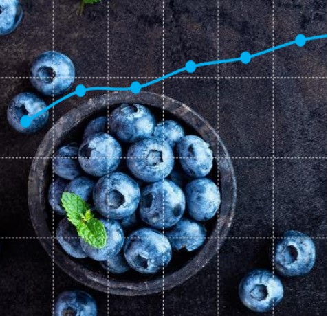 The Future of Blueberries Is Data Driven
