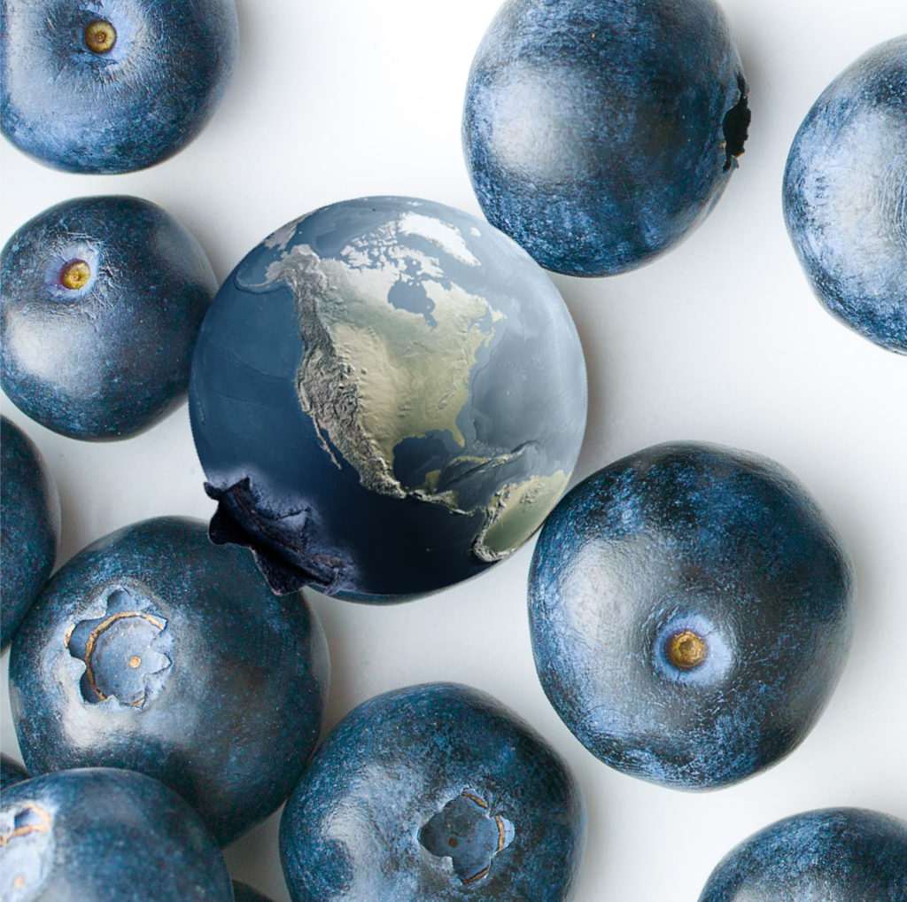 International Blueberry Summit With Peter McPherson