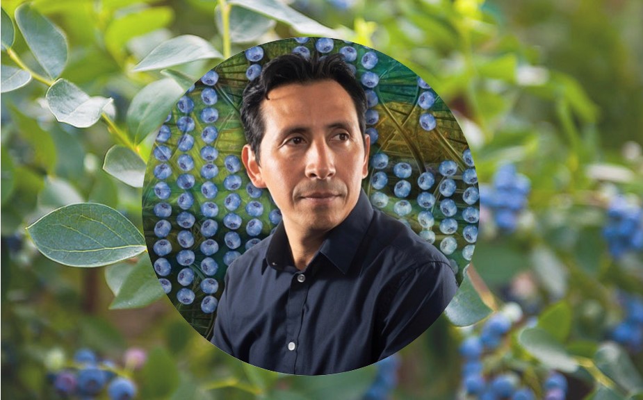 Blueberry Flavor Preferences With Patricio Muñoz, Ph.D.