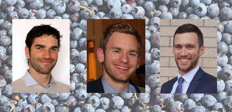 The Global State of the Blueberry Industry