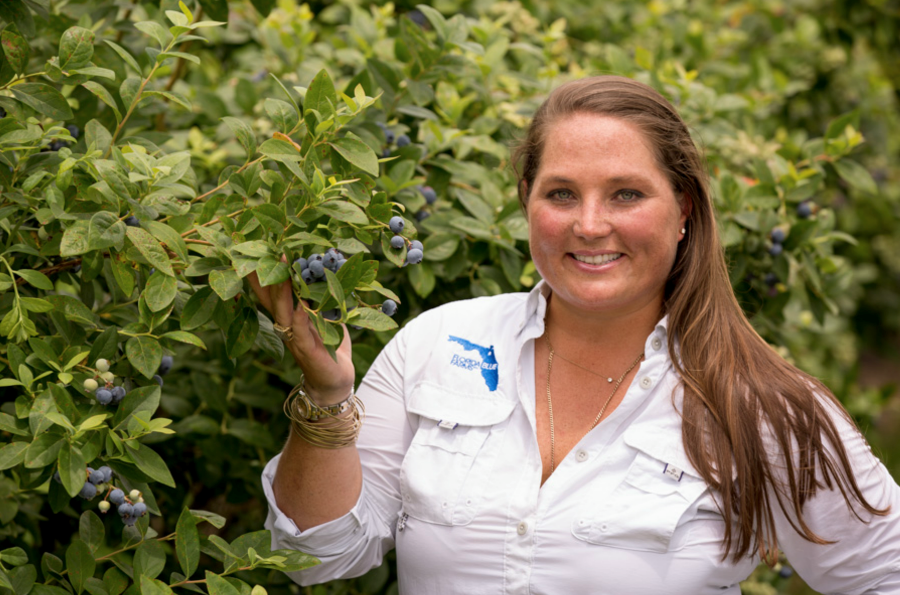 Florida Blueberry Update With Brittany Lee