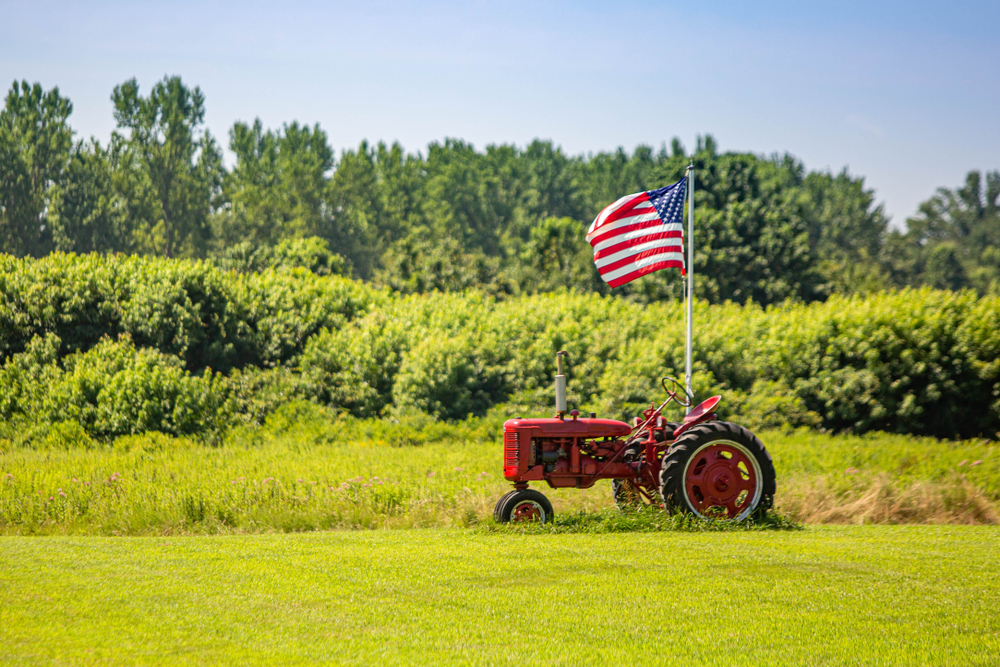 Blueberries and the Farm Bill