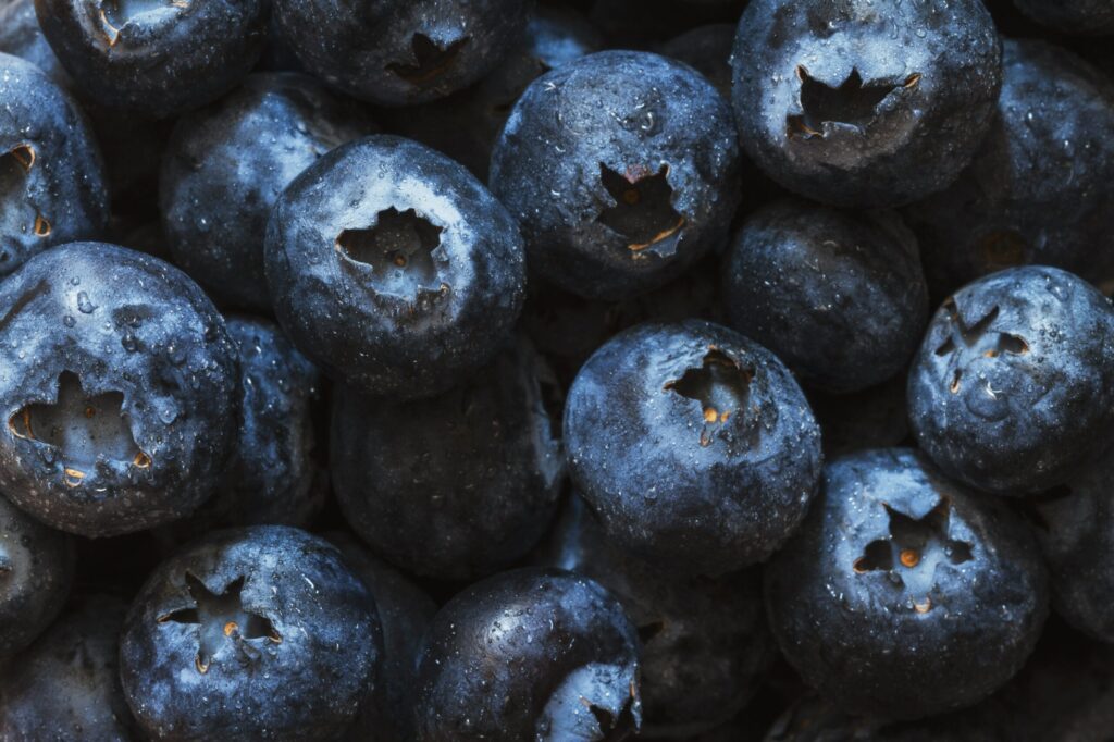 Why This Fourth Generation Farmer Wants to Give Back to the Michigan Blueberry Industry
