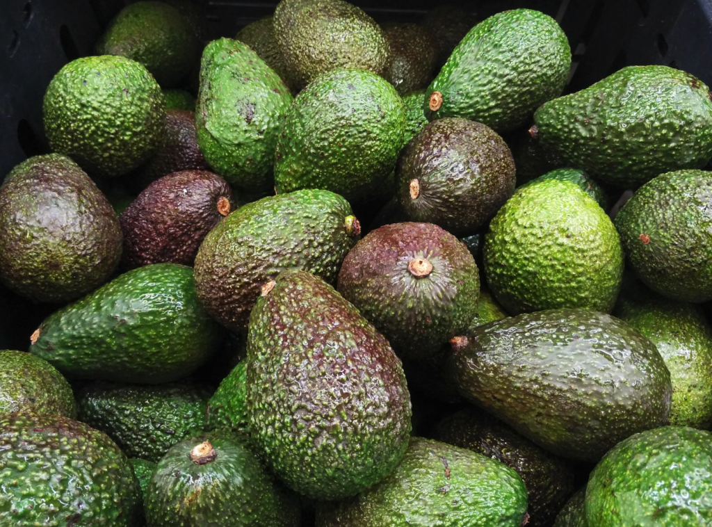 The Rise of Avocados: Strategic Lessons for the Blueberry Industry