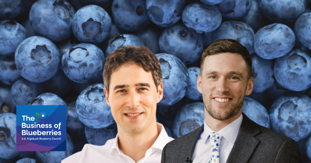 From Data to Decisions: AI’s Role in Blueberry Success