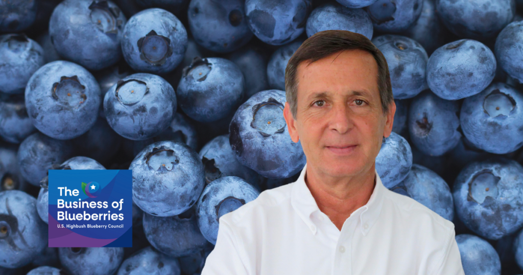 Innovation, Impact and International Growth: The IBO’s Mission With Mario Steta