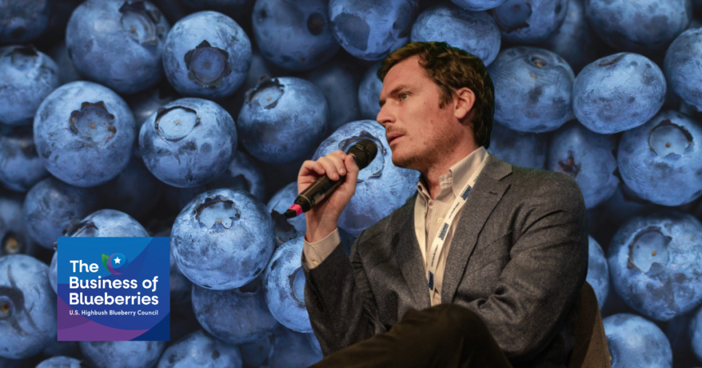 Inside Chile’s Blueberry Engine