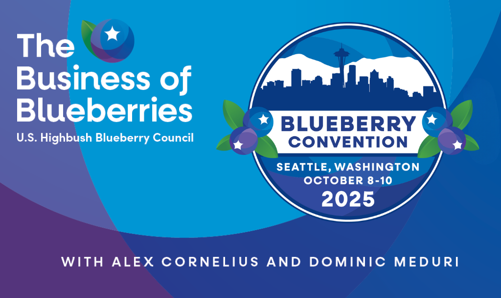 Blueberry Convention Reflections With Alex Cornelius and Dominic Meduri