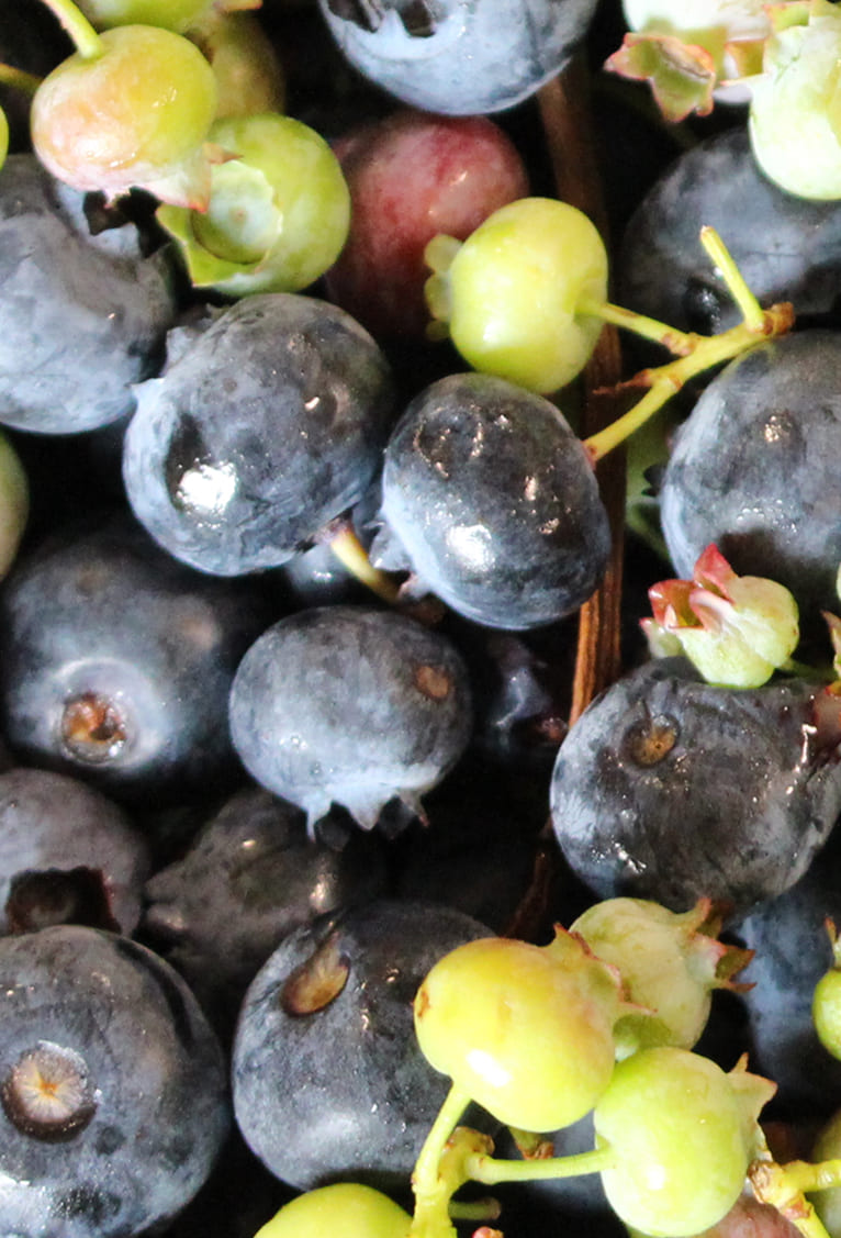 http://the%20berrySmart%20field%20hero