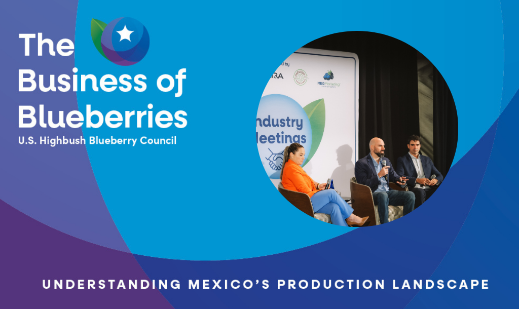 Understanding Mexico’s Production Landscape