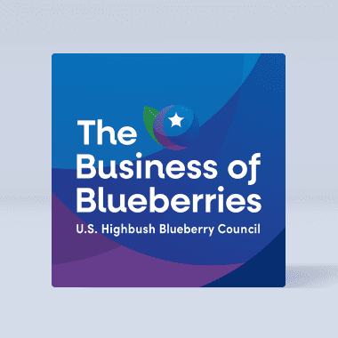 business blueberrues