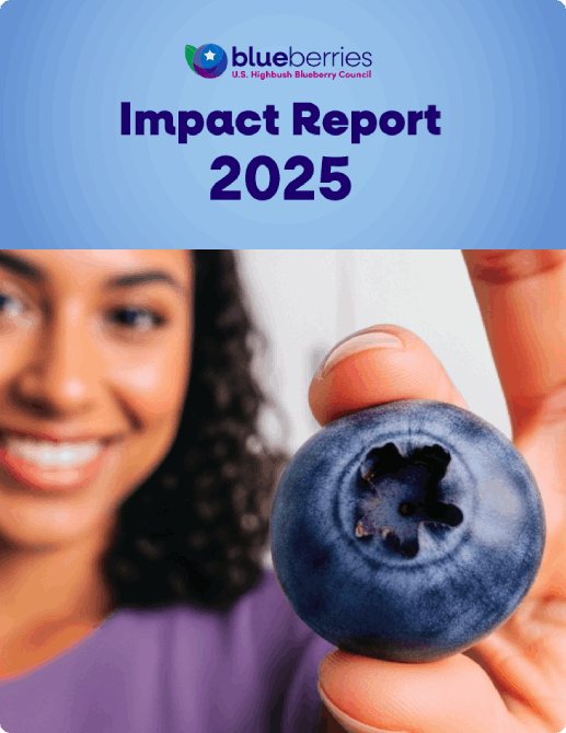 impact report 2025