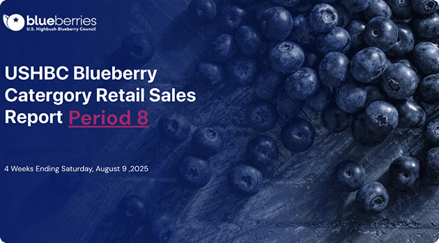 sales report