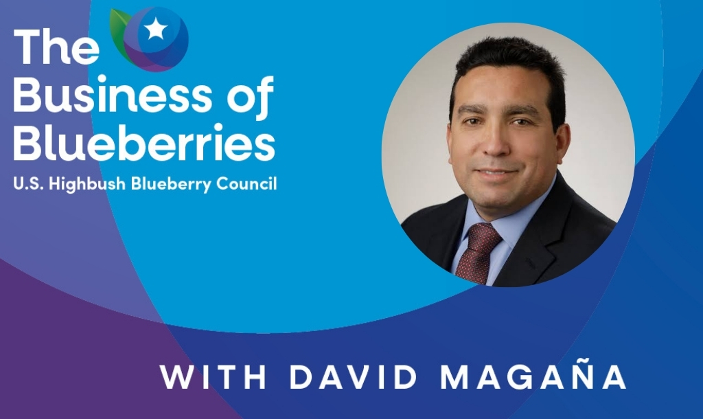 Economics of the Berry Basket: David Magaña on Supply, Pricing and Growth