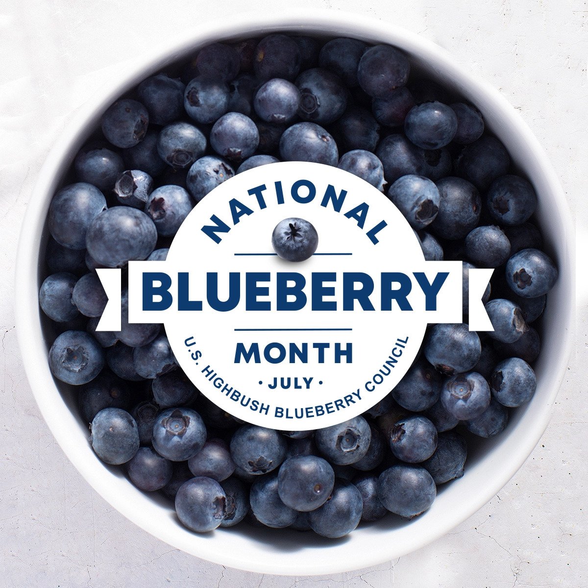 National Blueberry Month Toolkit USHBC