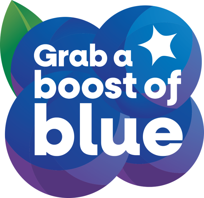 This image has an empty alt attribute; its file name is Boost-of-Blue-.png
