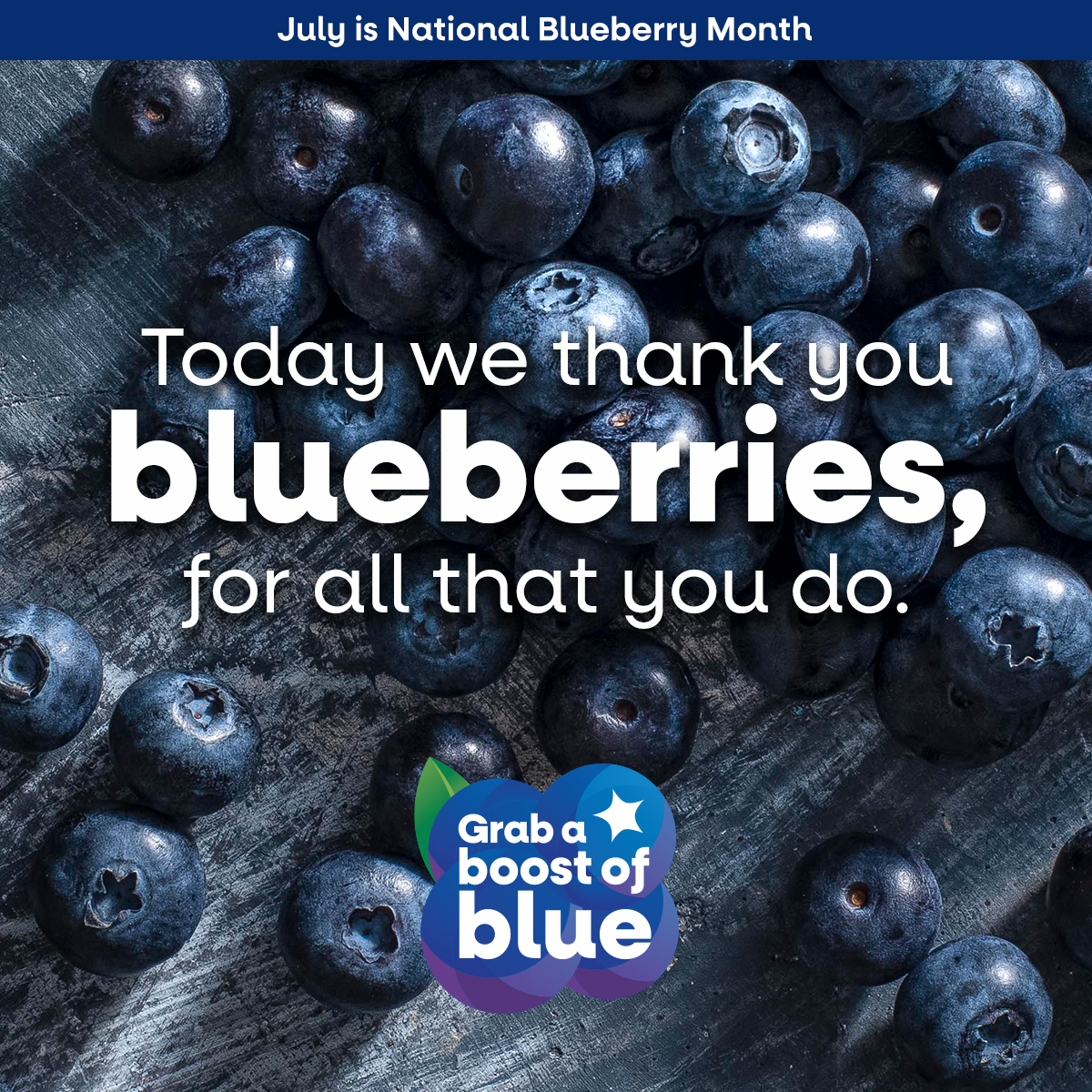 National Blueberry Month Toolkit Now Available! USHBC