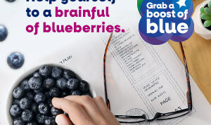 Brain Health Month - Digital Ad - Brainful of Blueberries - 300x250