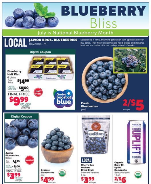 Blueberry Bliss Newsletter