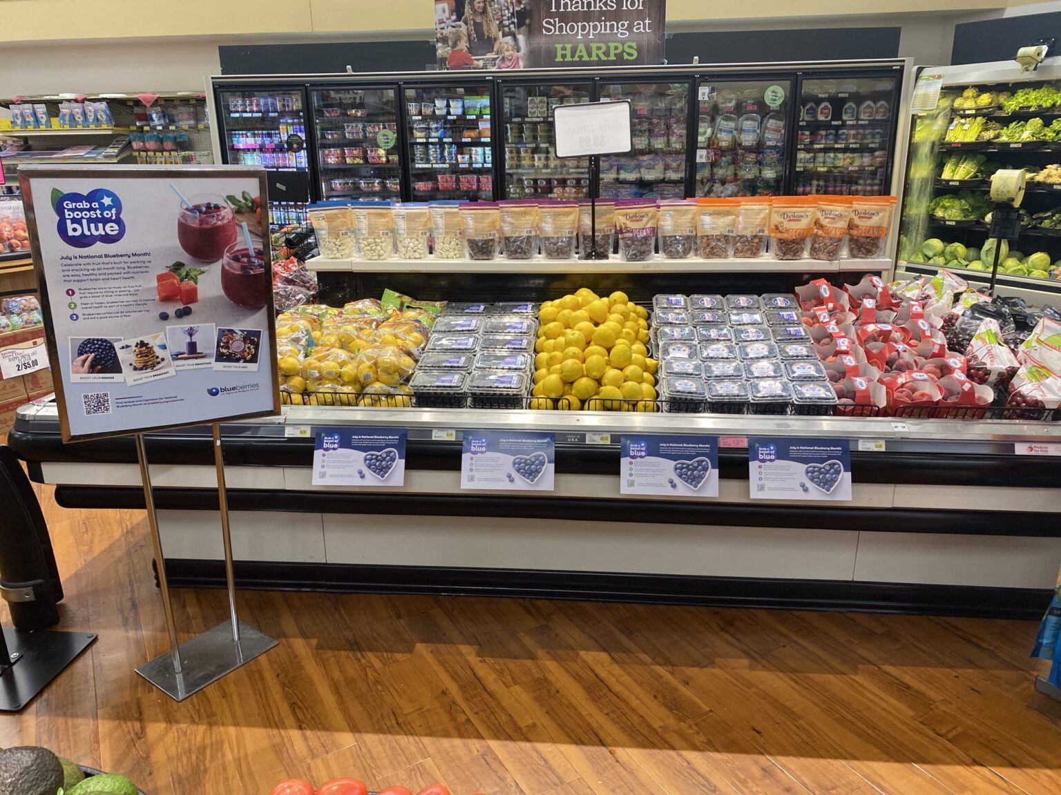 Harps GaBoB display