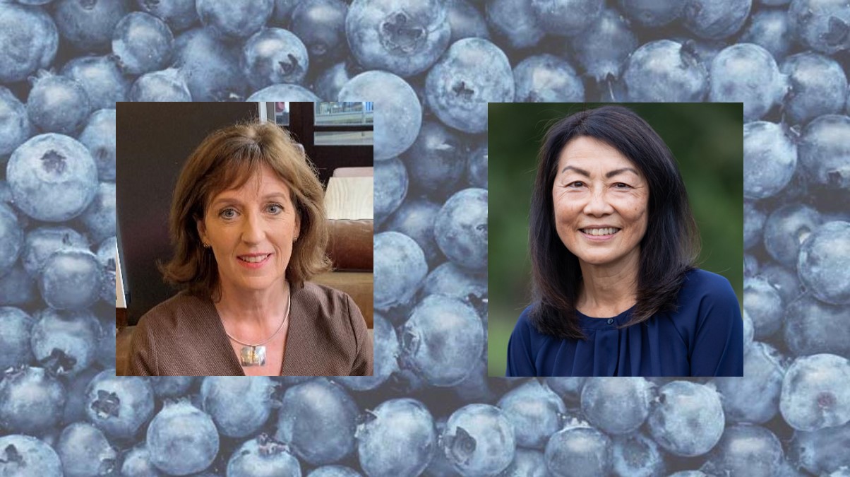 Blueberry Health Research Roundtable USHBC