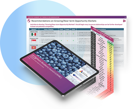 Composition of report slides superimposed behind an iPad with the title slide on-screen.